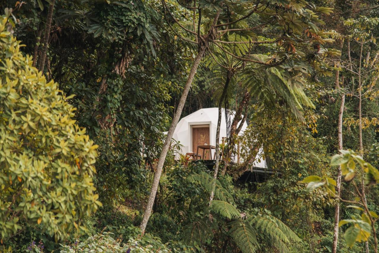 Terramia Estate Villa Minca Dış mekan fotoğraf